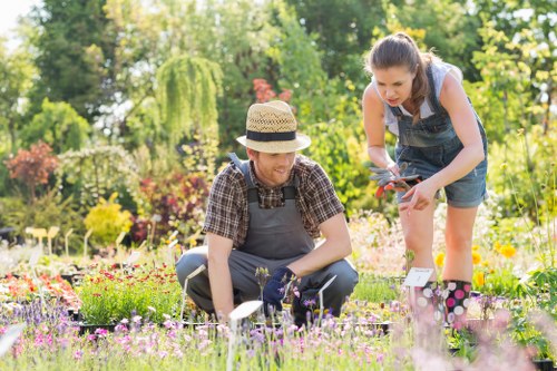 Sustainable landscape gardening in Kenton with lawn, shrubs, and lighting