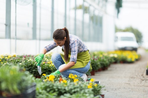 Gardening services in Kenton improving a neat residential garden