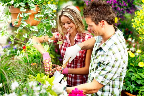 Professional garden clearance in a Kenton backyard
