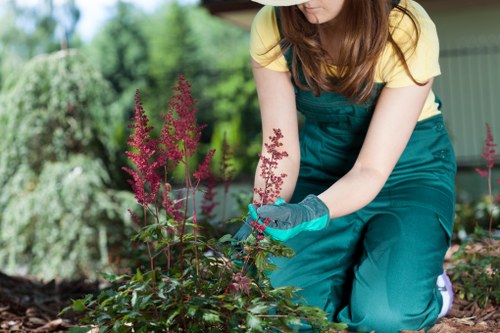 Kenton garden recycling and sustainability service