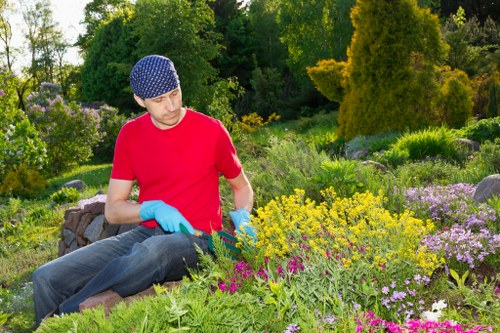 Garden tools and protective equipment prepared for safe use