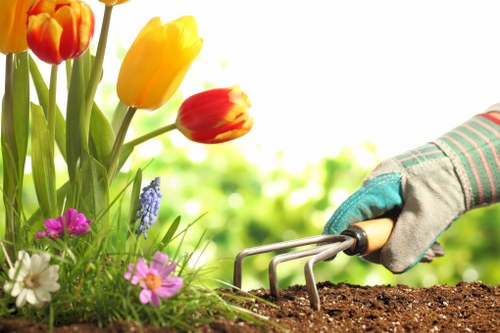 Removing green waste during garden clearance in Kenton