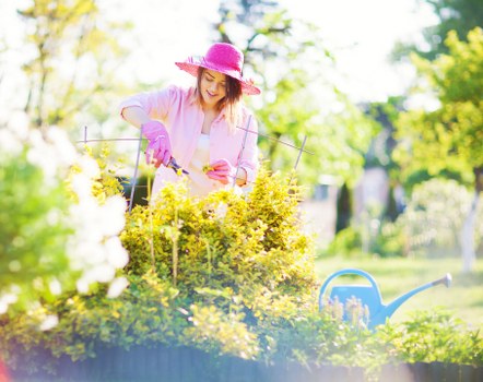 Garden quotation and booking process illustration