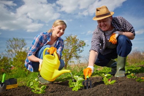 Risk assessment and tidy garden maintenance in Kenton