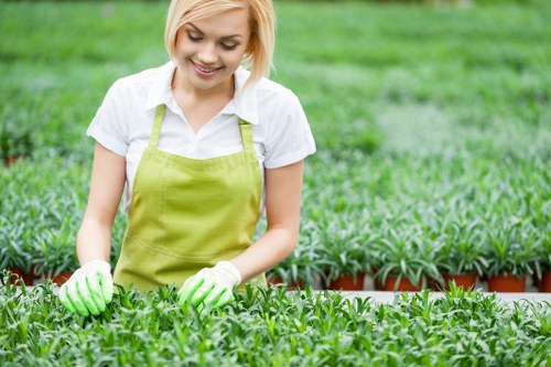 Seasonal planting and lawn care by Kenton gardeners