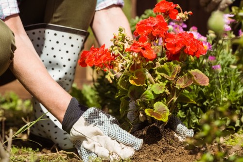 Seasonal garden maintenance in Kenton with neat lawns and planting