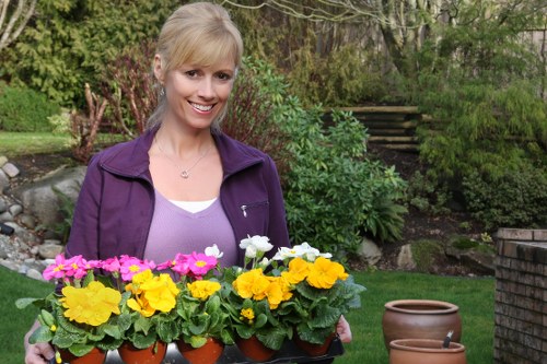 Liability and safety considerations for garden services